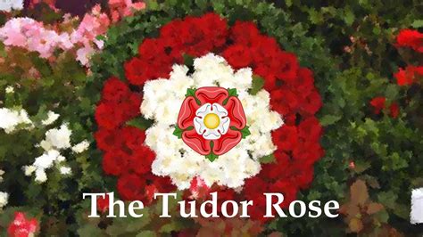 tudor rose price